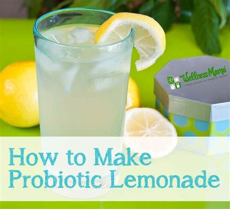 probiotic lemonade recipe limeade margarita drinks