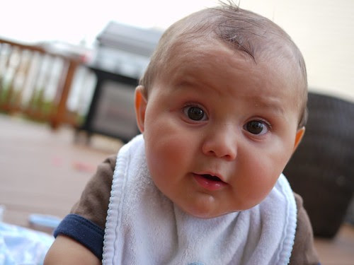 cute babies pictures
