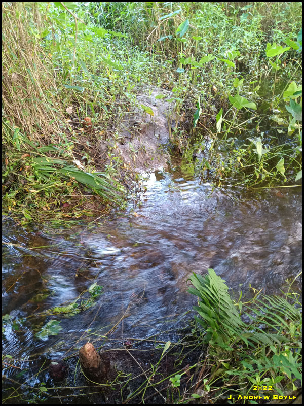 River