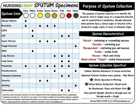 Websep 28, 2022 · many different colors of phlegm exist. sputum collection data sheet nursingkampcom nursing school resources