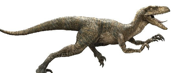 velociraptor