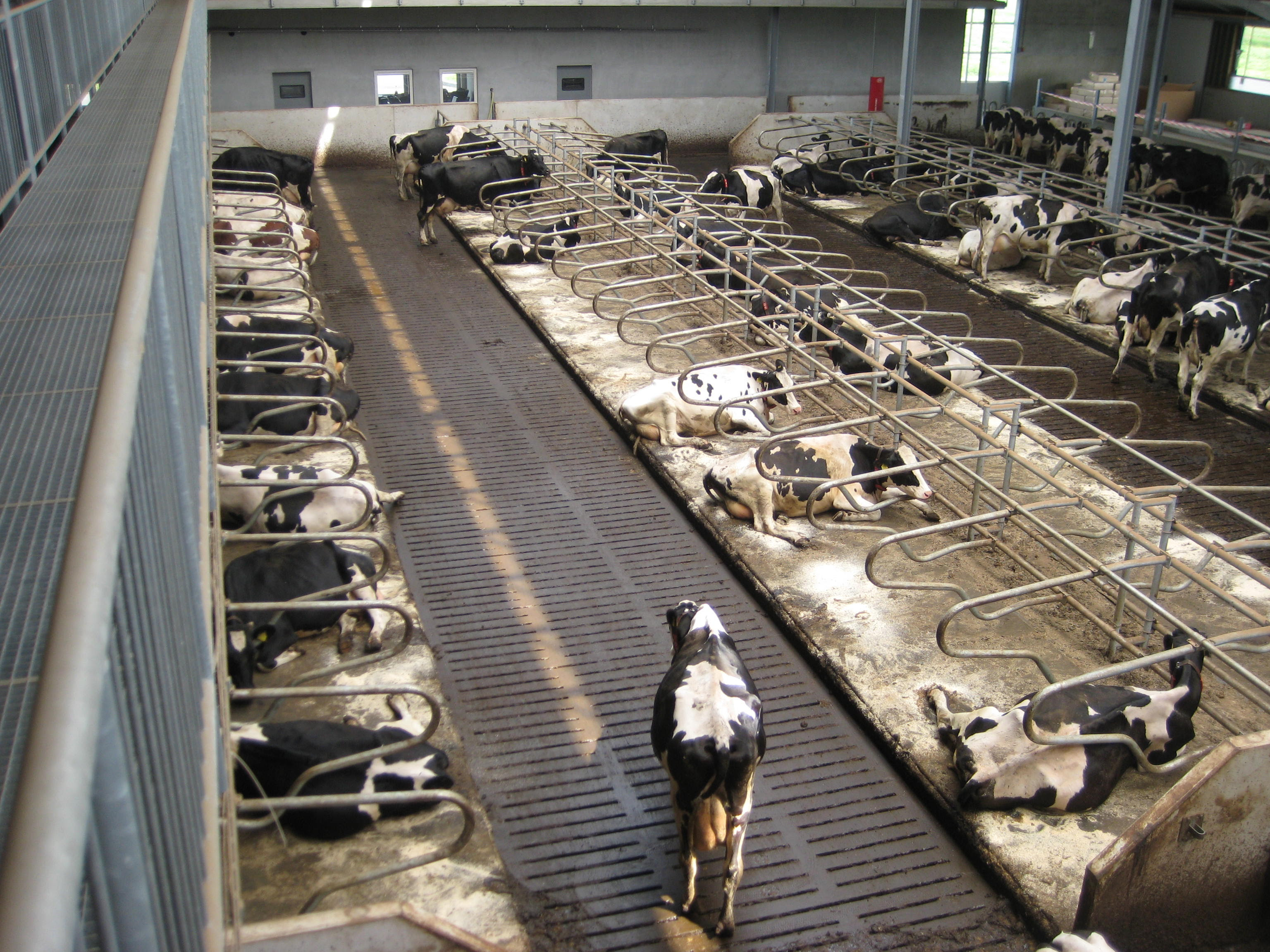 June 2010 Rural Sociology Wageningen University
