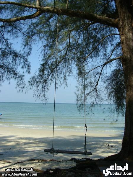 ماليزيا - يناير 2011