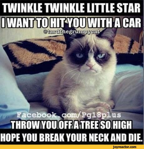 Twinkle Twinkle Little Star Poem Grumpy Cat Funny Pictures Best Jokes Comics Images Video Humor Gif Animation I Lol D