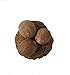 Gourmet Whole Nutmeg -7 OZ