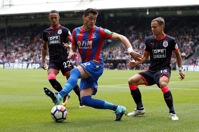 Crystal Palace: À holandesa, voo da águia sucumbe à mordida do terrier