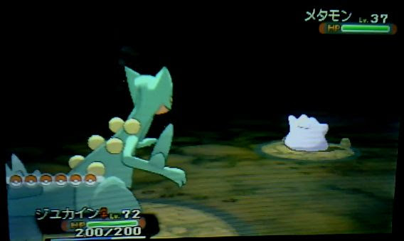 ポケモンorasメタモン出現場所 入手方法 高個体 オメガルビーアルファサファイア ポケモンoras最新情報 オメガルビー アルファサファイア攻略も