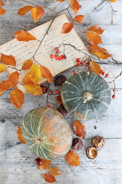 Blog Hop