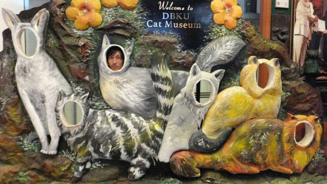 Experience the cat at the cat museum in Kuching, Malaysia meaning 