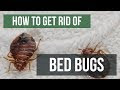 How to Get Rid of Bed Bugs Pest Control