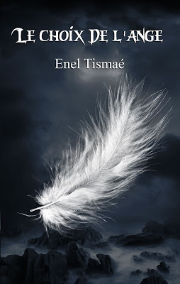 Couverture Le choix de l'ange