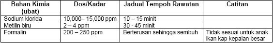 klkl.jpg