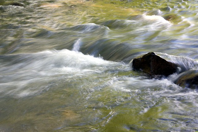 Johnson Creek Park