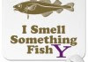 Fishy Fishy