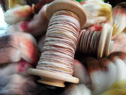 TdF day 16-Petey Pete-sw merino-2-ply- 120yds-7