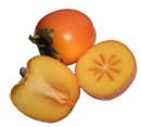 persimmon