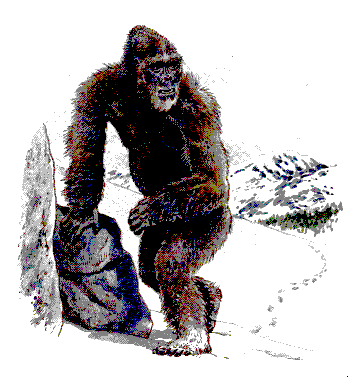 http://www.saudeanimal.com.br/wp-content/uploads/2015/12/yeti.gif