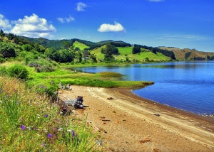 Waikato River near Port Waikato