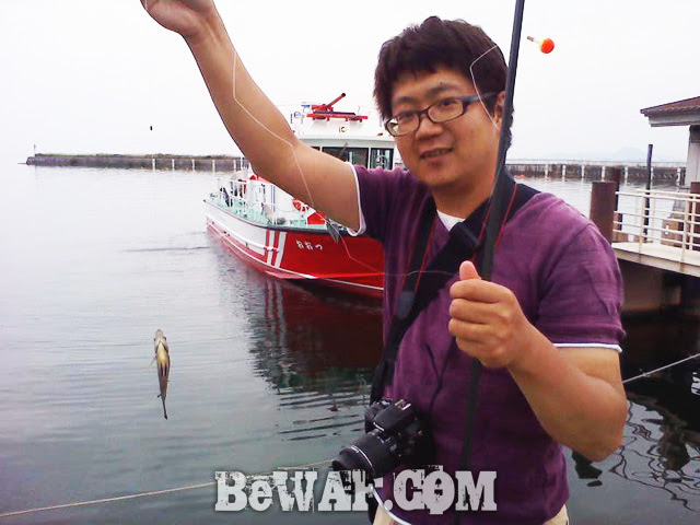 biwako blue gill turi 1