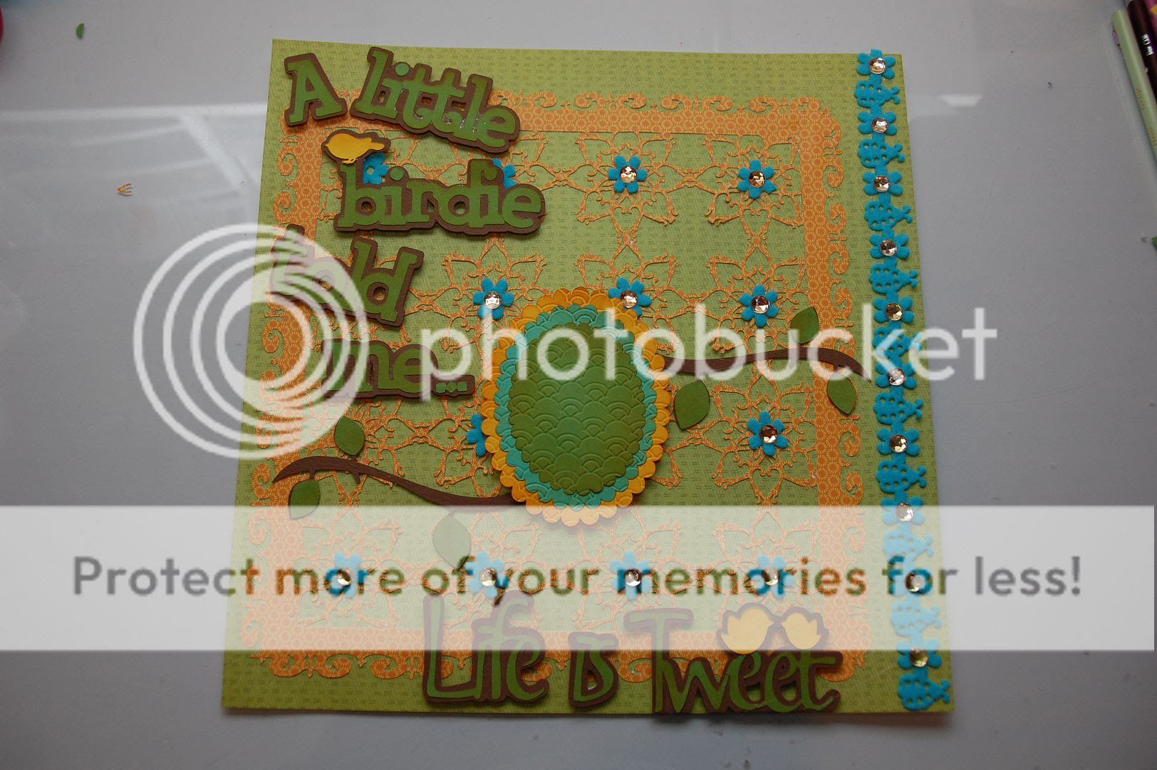 The image “http://i296.photobucket.com/albums/mm176/lzabethlzabeth/DSC_0828.jpg” cannot be displayed, because it contains errors.