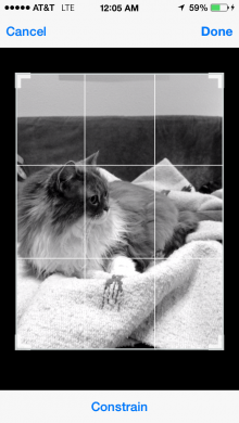 photo2 220x390 Lenka is a beautifully simple iPhone app that gives photos that moody monochrome magic