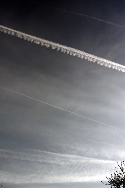 january contrails