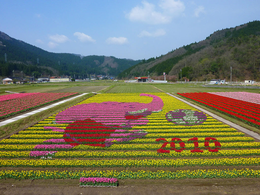 花の写真 春の花 無料壁紙 花の無料壁紙写真 花の無料写真素材 四季の花の写真集