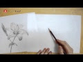 √1000以上 百合の花 イラスト 描き方 230354-百合の花 イラスト 描き方