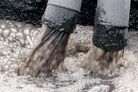 As an elder millennial, it goes without saying that i'm into plants. 5 Consequences of Impromper Liquid Waste Disposal