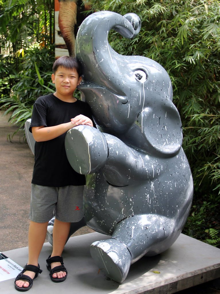 No23_ELEPHANT BLACK AND GRAY