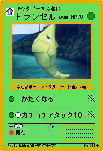 オリジナルカード ボックス２ ポケモンスナップ
