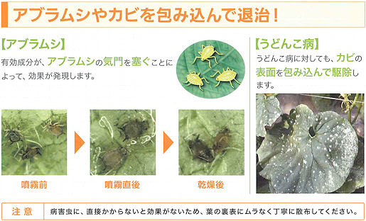 食品成分で野菜と花の虫と病気退治 アースガーデンナチュラルあめんこの通信販売