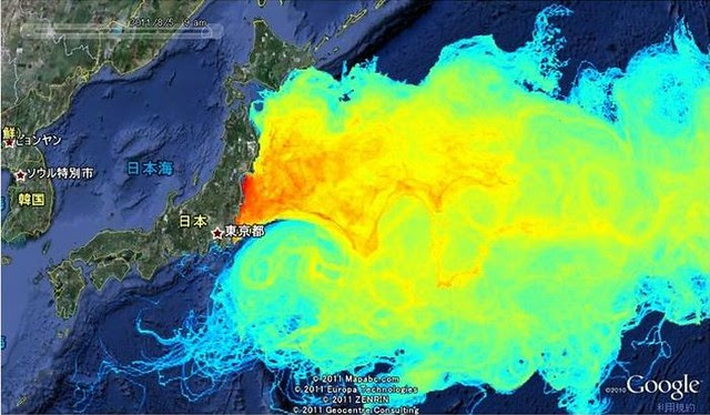 sea1