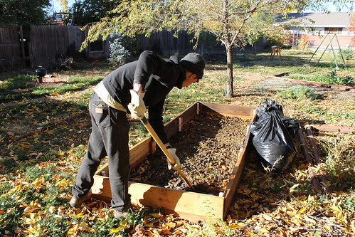 2013.10_sheet mulch 001