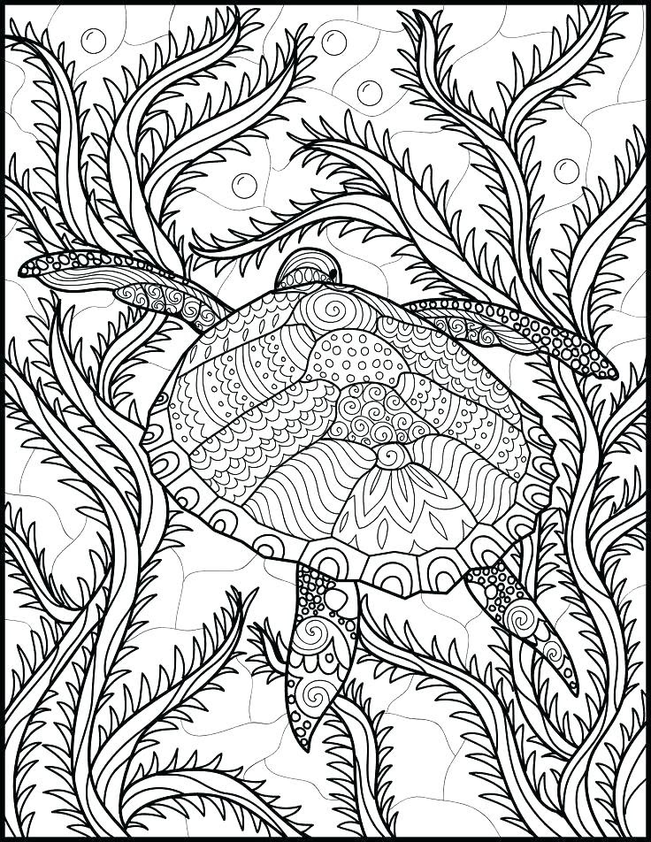 Ocean Adult Coloring Pages at GetDrawings | Free download