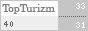 TopTurizm