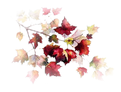 tube feuille