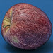 Apple 3