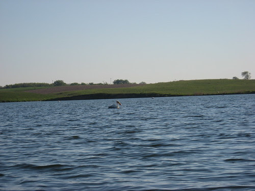 IMG_4859.JPG