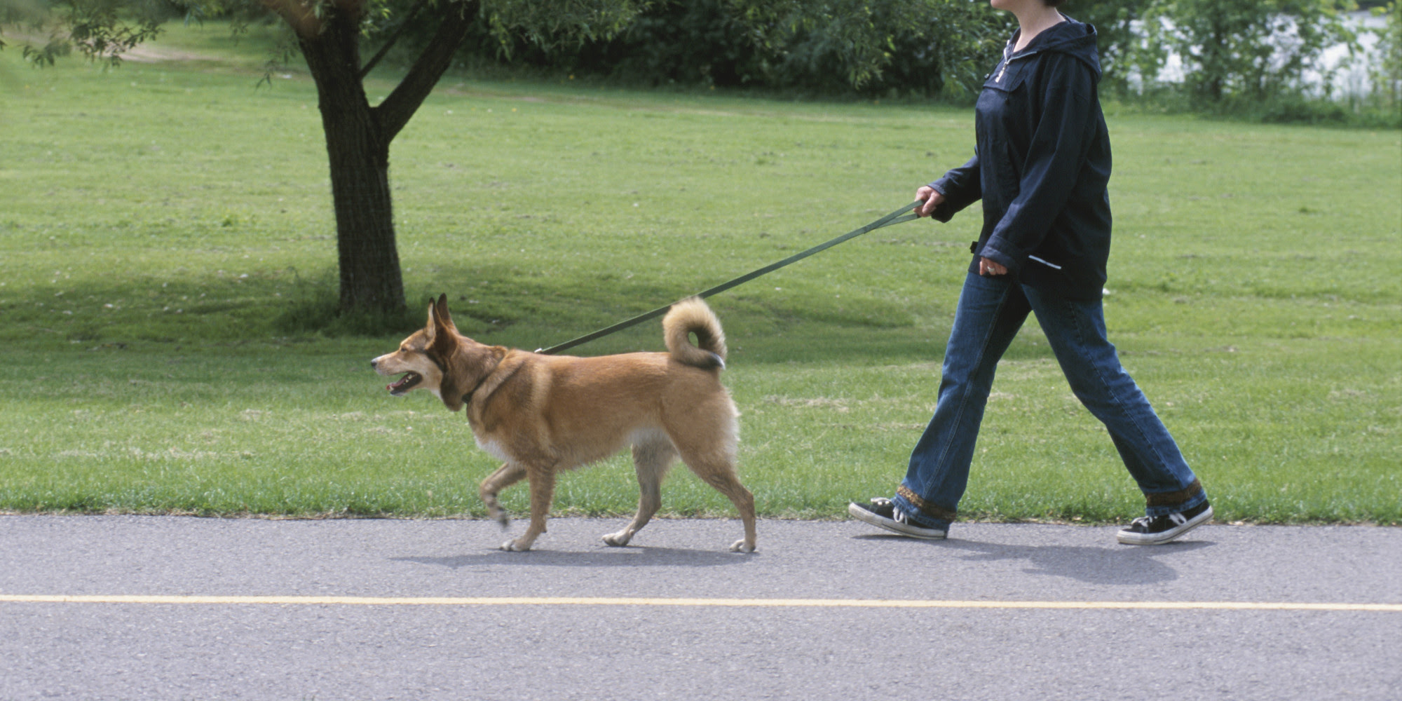 Training the Human for the Dog Walk | HuffPost
