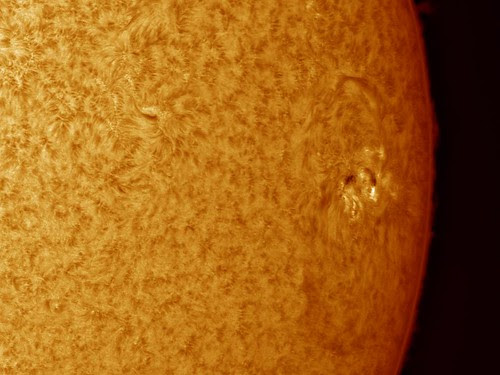 AR11484 by Mark Townley