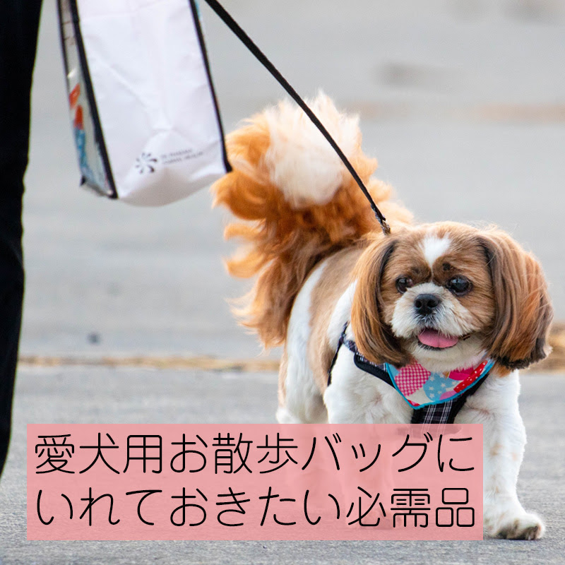 オススメの愛犬用お散歩バッグ お散歩バッグにいれておきたい必需品はコレ