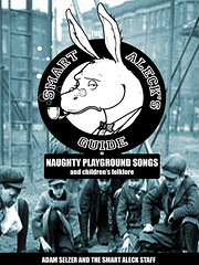 SAG PLAYGROUND COVER