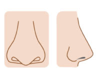 鼻骨の形状とメガネのかけ心地は