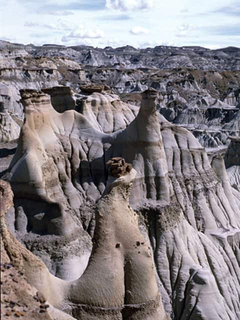 dinosaur provincial park shape