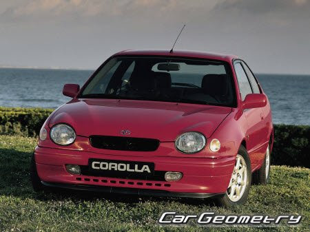 Геометрические размеры кузова Toyota Corolla 1997-2001 ...