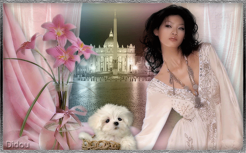 Rose ... belle image