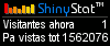 Audiencia web