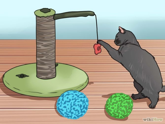 Keep Cats from Chewing on Electric Cords and Chargers Step 15.jpg