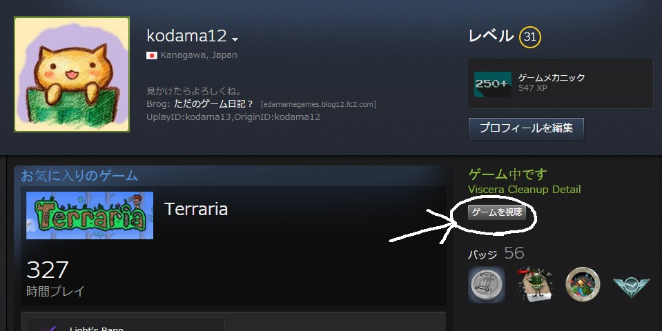 ただのゲーム日記 今日のゲーム日記 ブロードキャスト